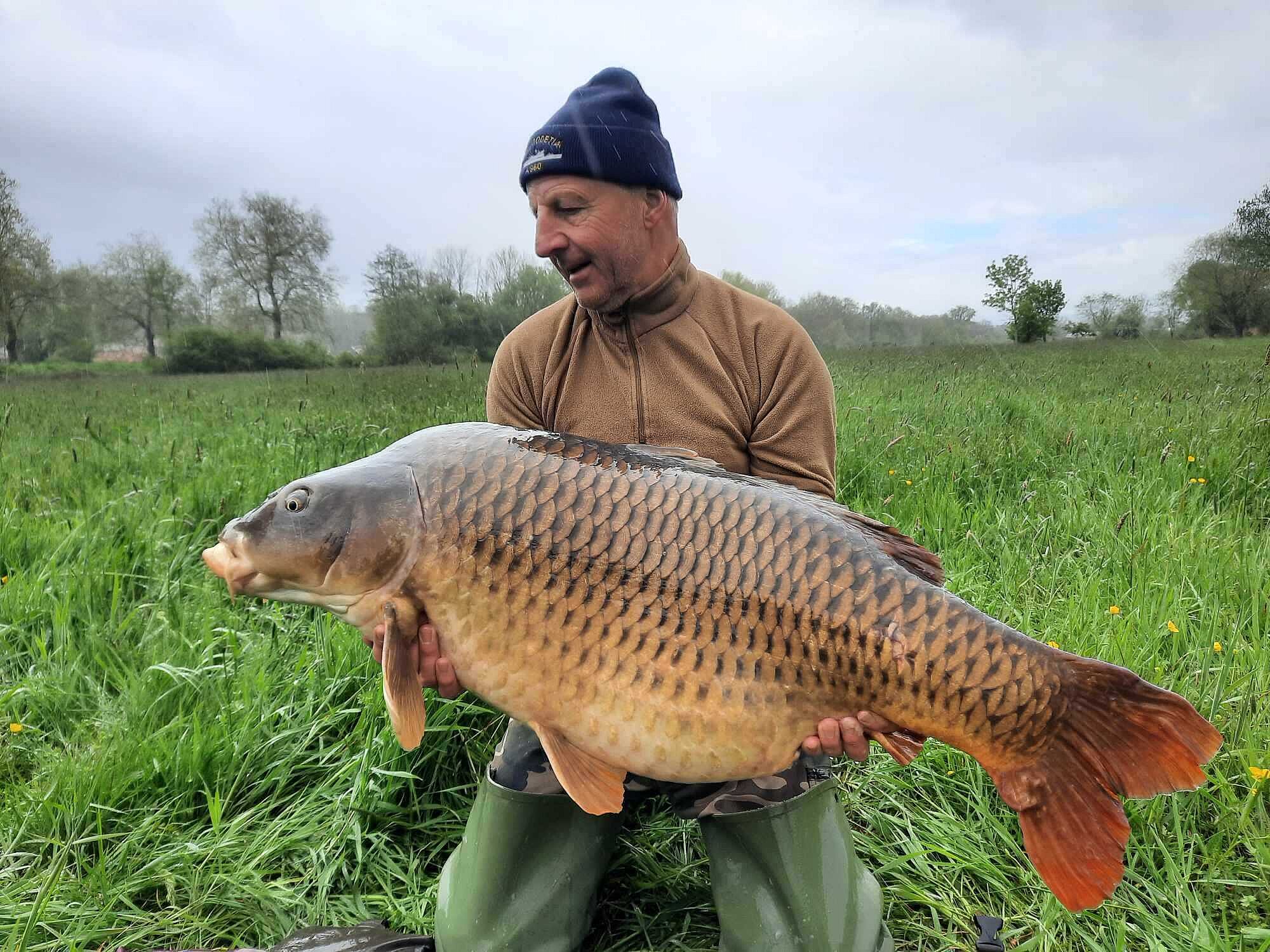 Etang du Tronc du Chêne 574183539 n