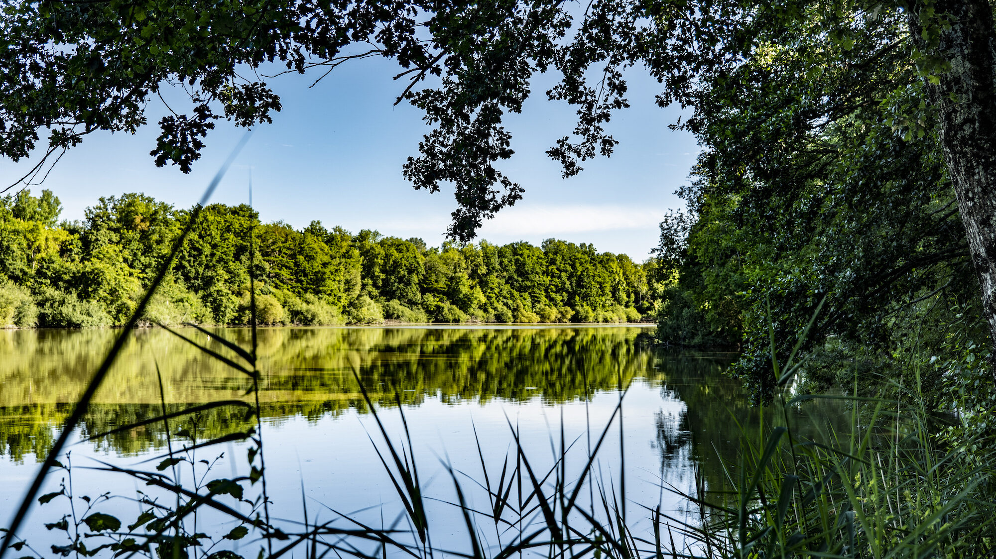 Domaine de Brocard - Carp Fishing Holidays in France