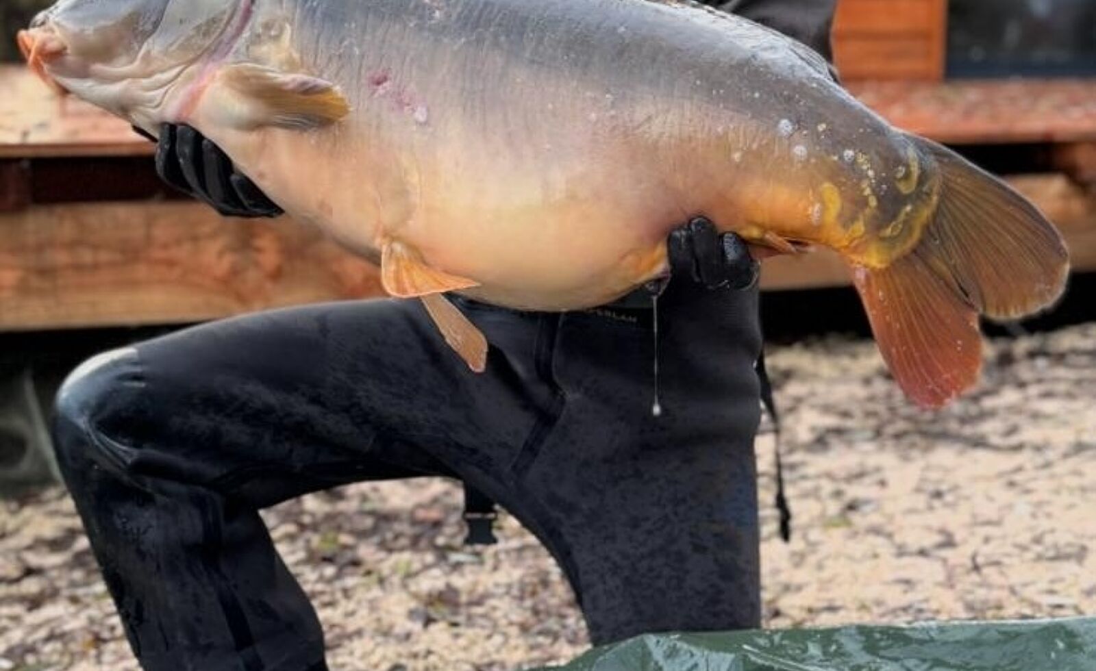 Squirrel Lake 22 50 3