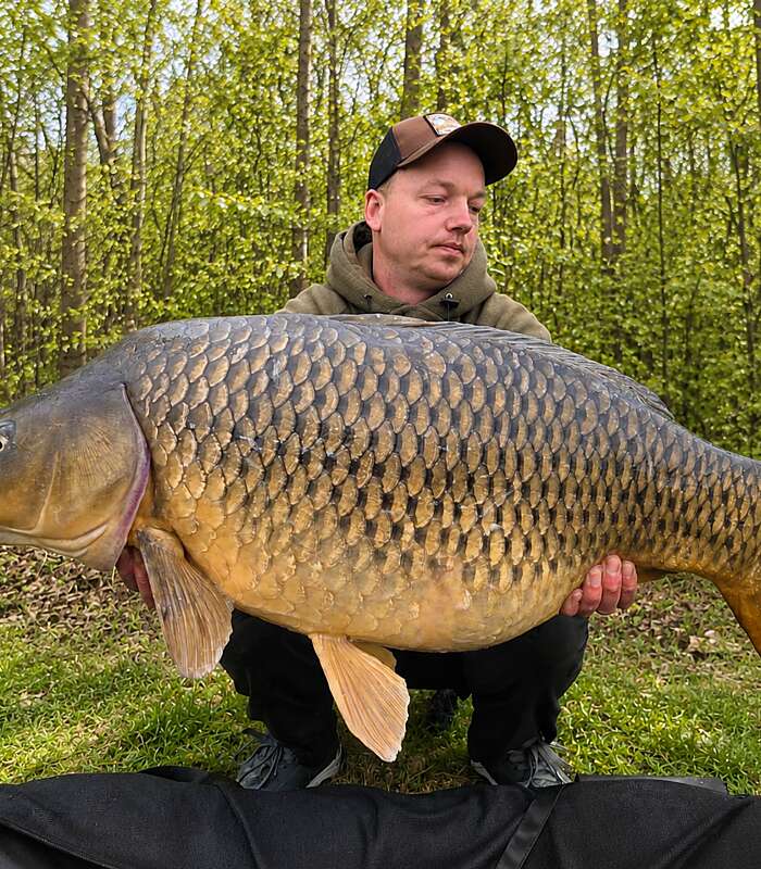Domaine des 3 Anneaux big carp