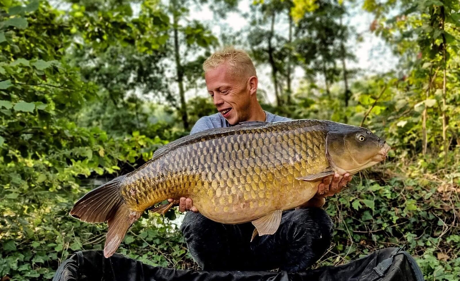 Domaine des 3 Anneaux common carp