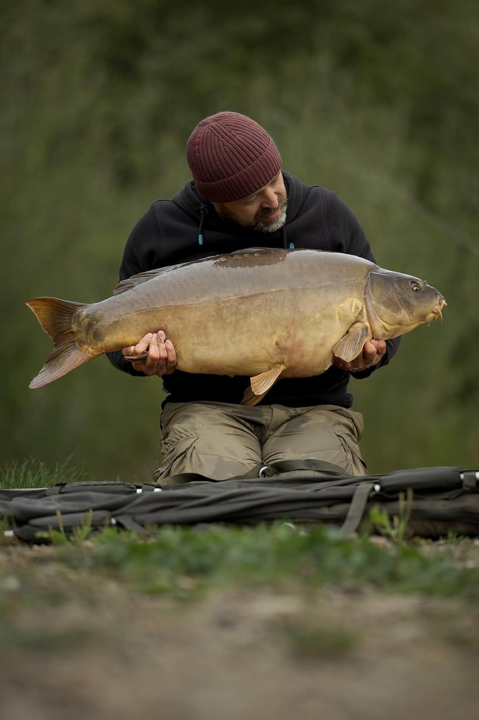 Etang 13 France Carp