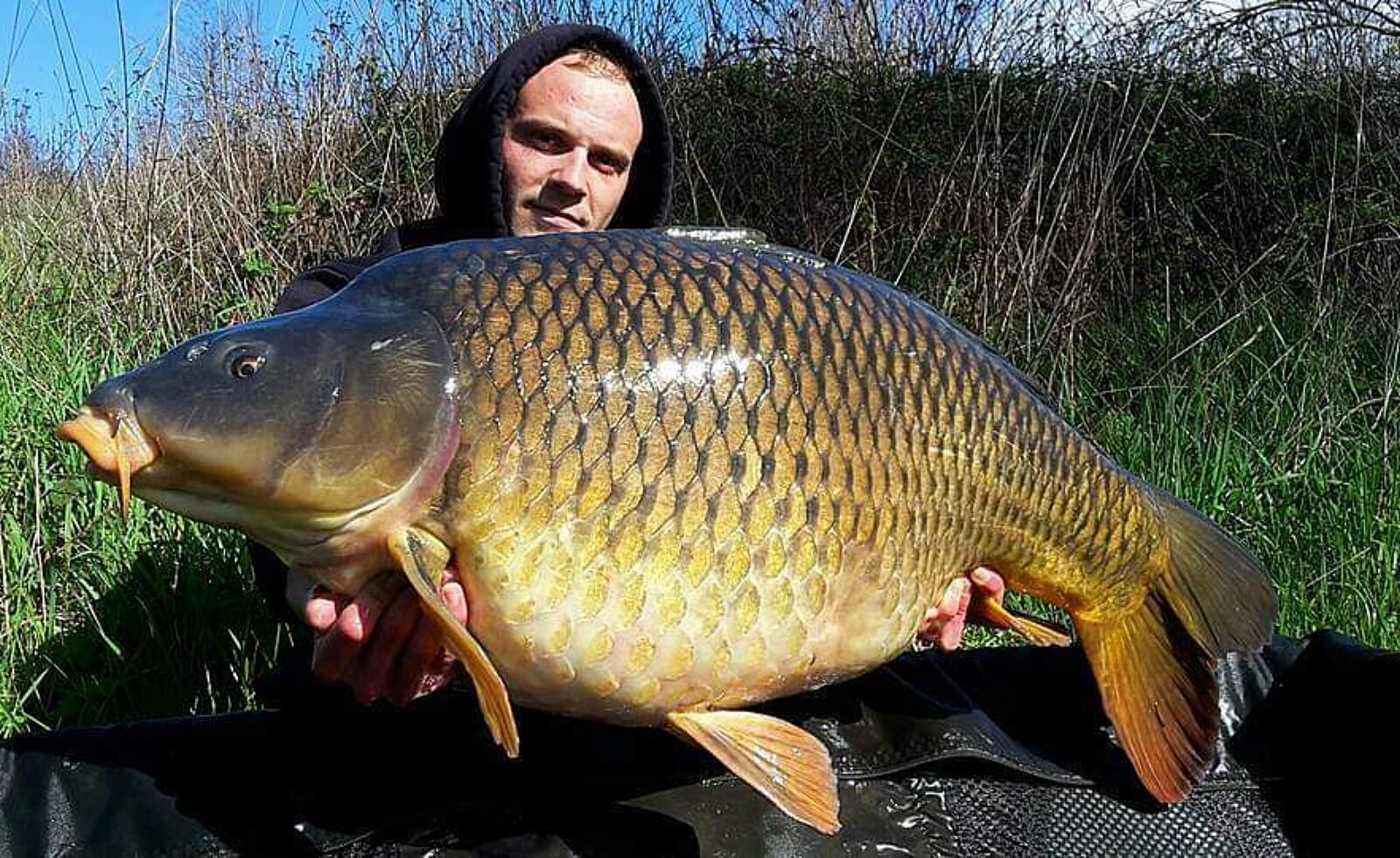 26 nice catch carpanium big carp