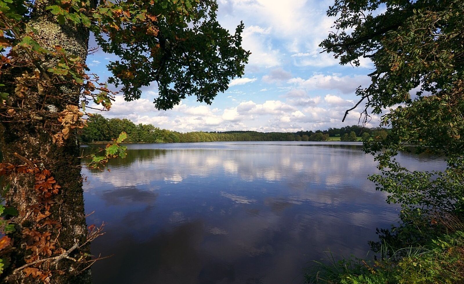 14 etang de brigueuil