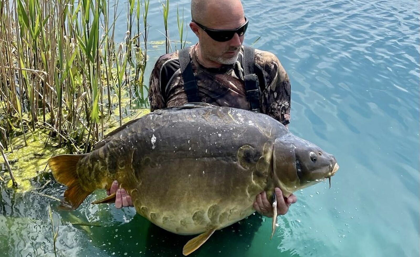 29 1kg64lbs golden carp lake