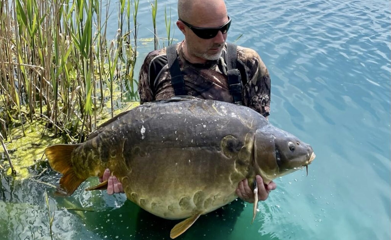 29 1kg64lbs golden carp lake