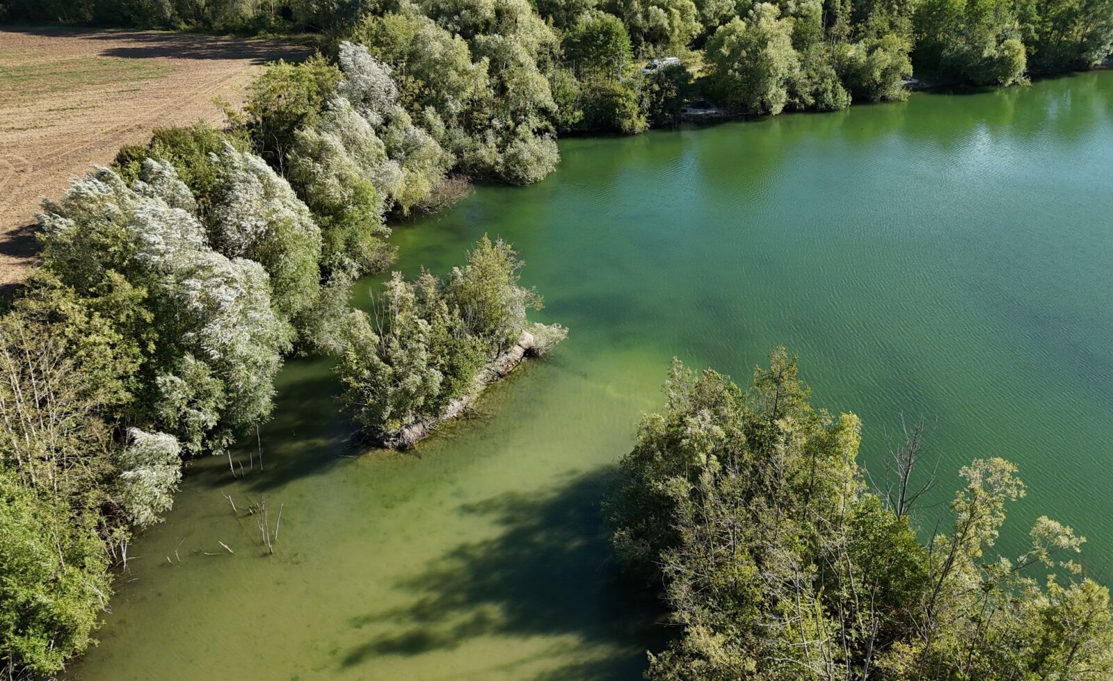 DJI 20250917162024 0055 D