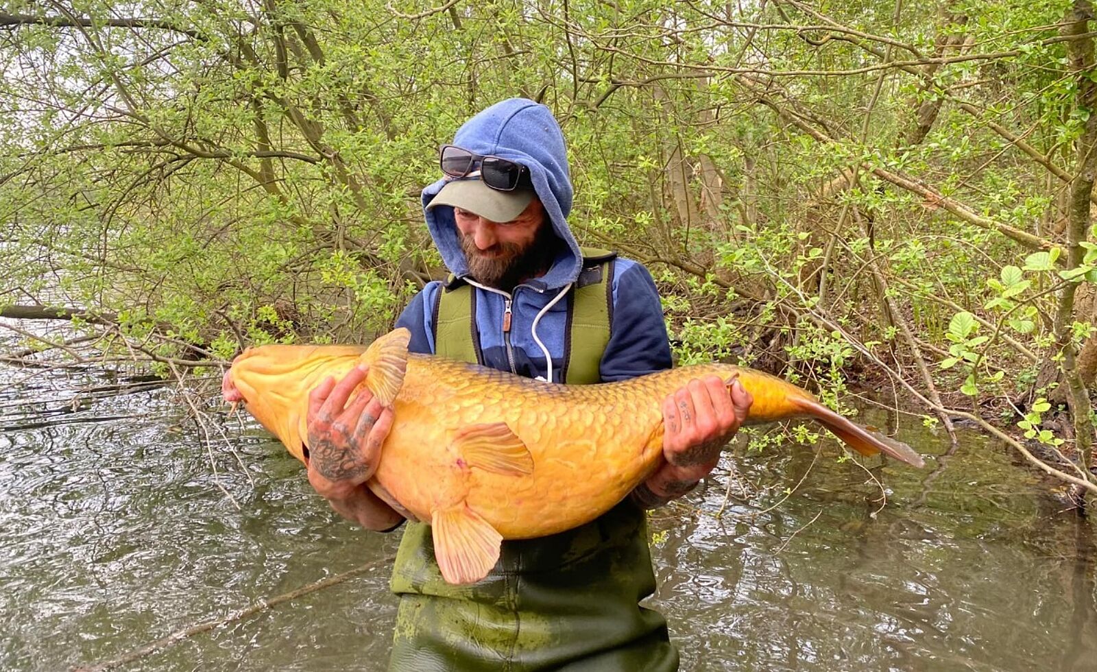 Etang de Méry 19 43 52 1