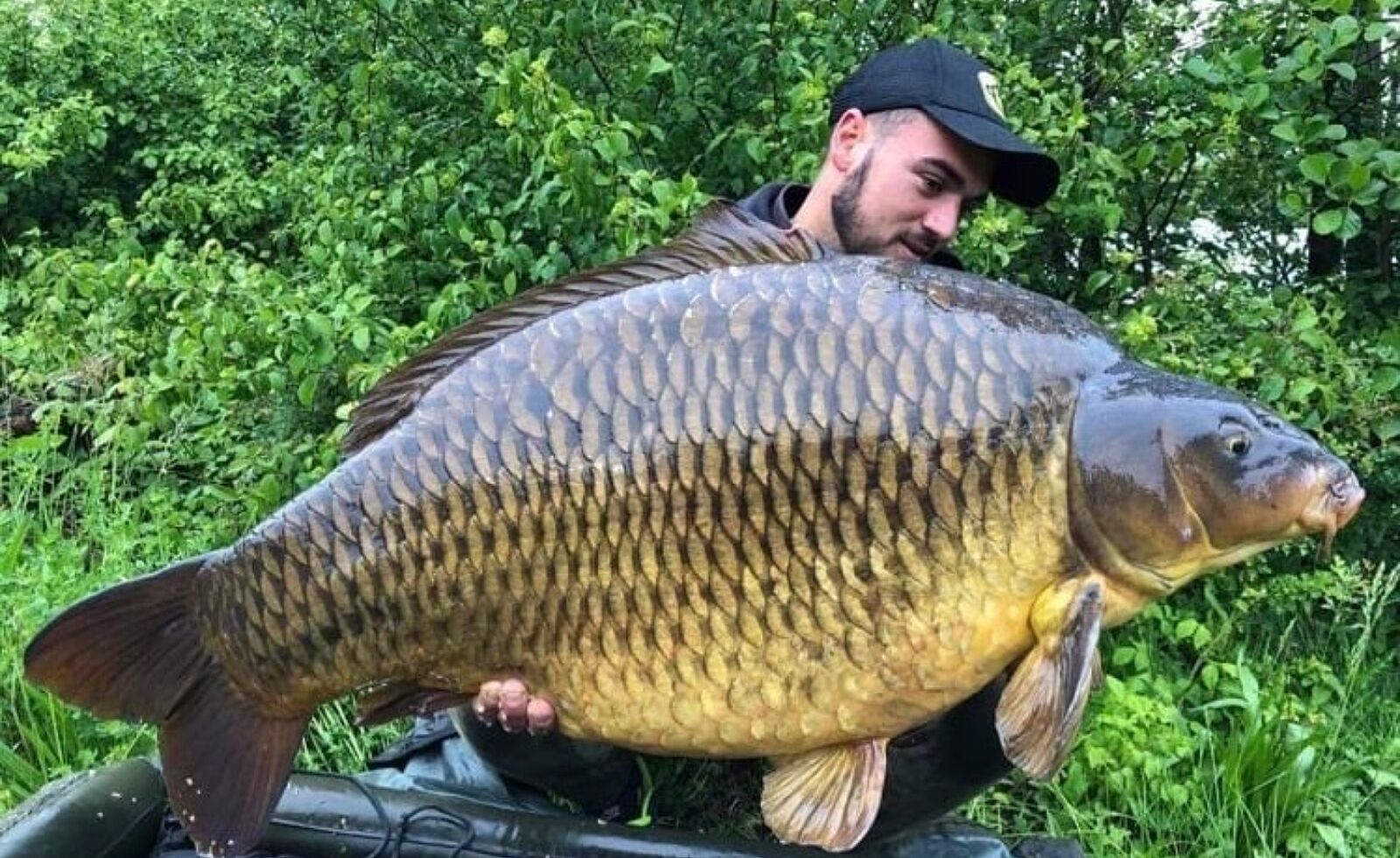 Etang de Méry 51