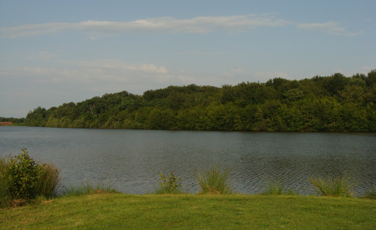Etang de Mont - Pêche a la carpe en Auvergne