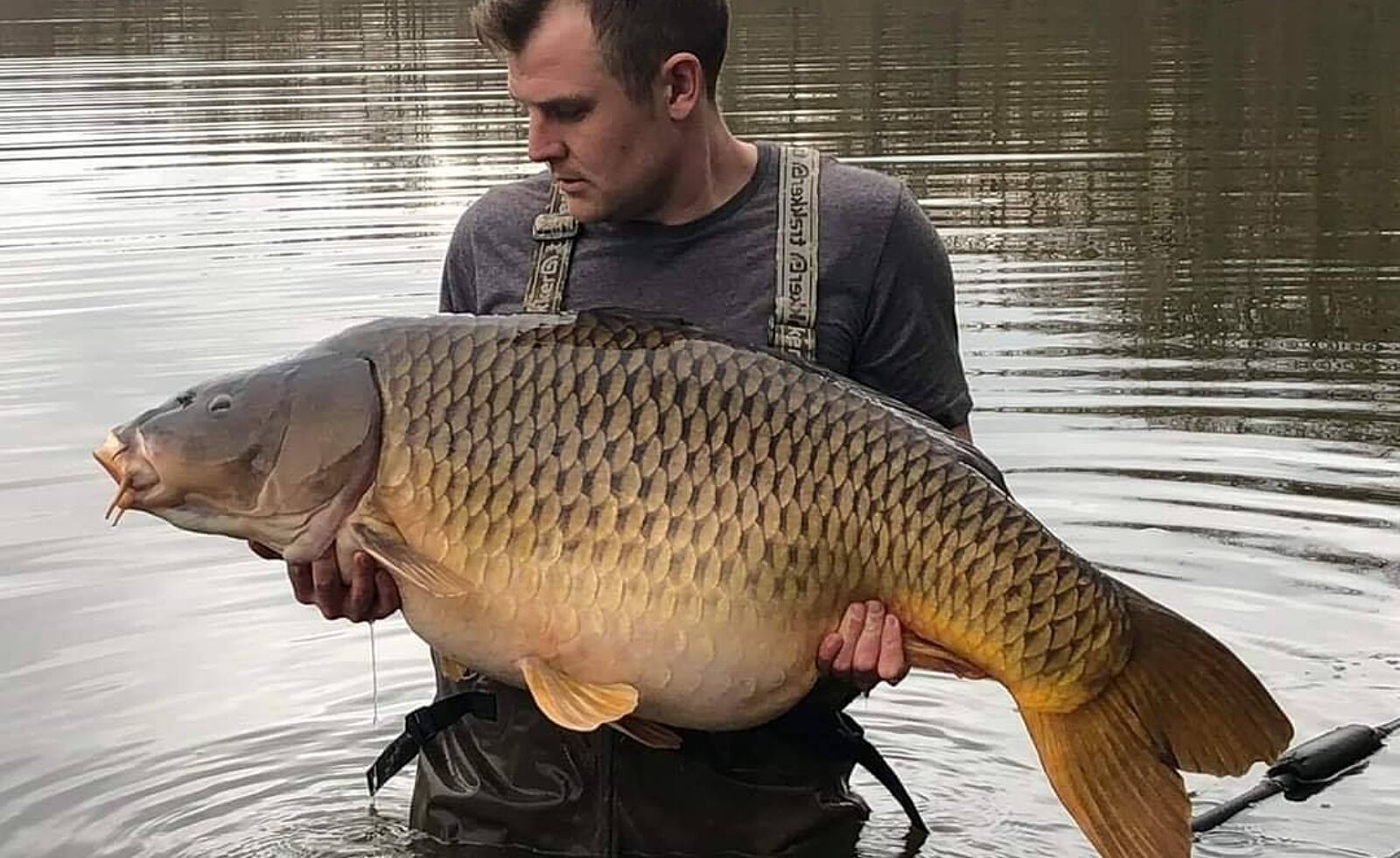 La Brie carp fishing 77381773312 n