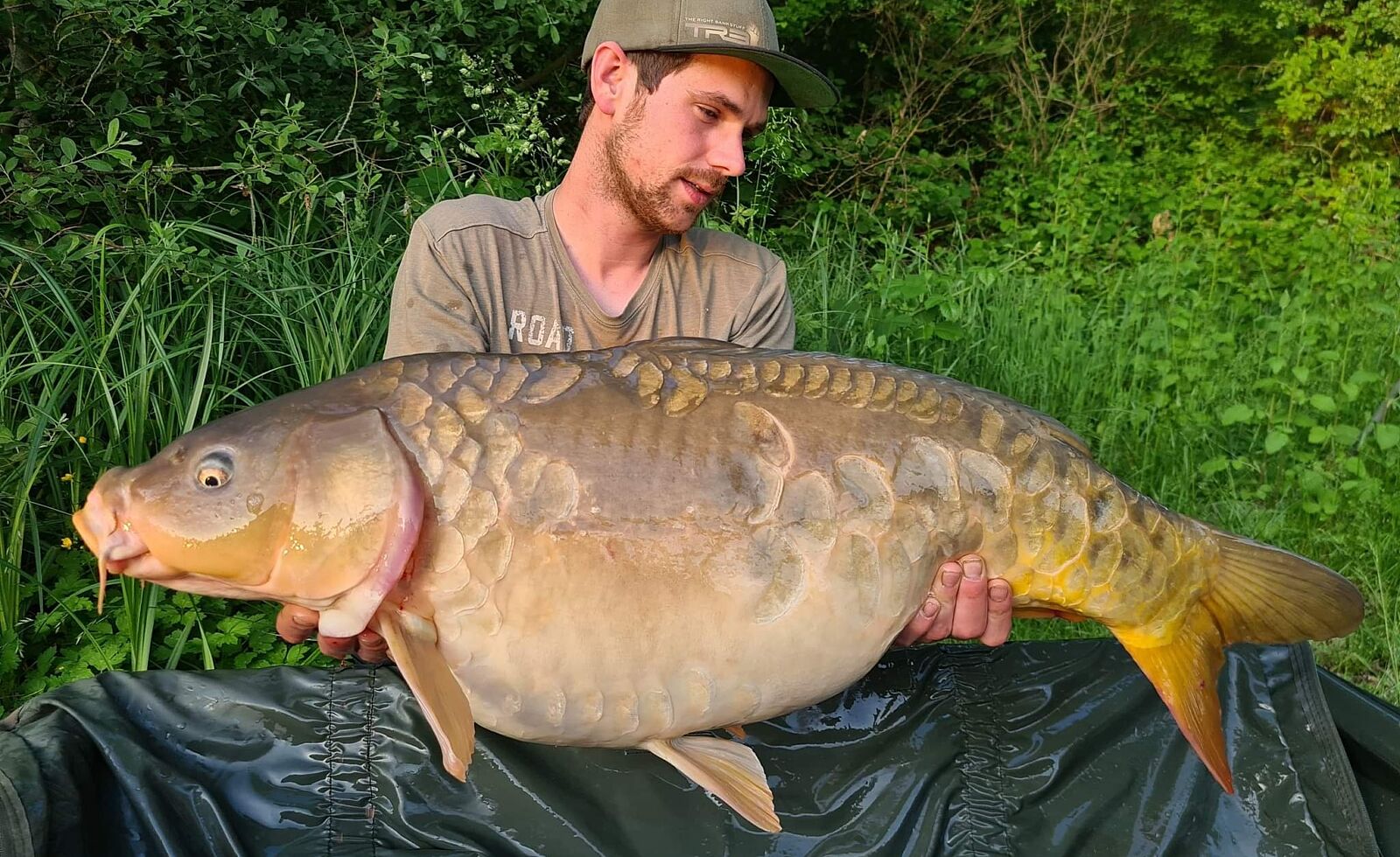 Une carpe de 30 kilos pêchée en Champagne