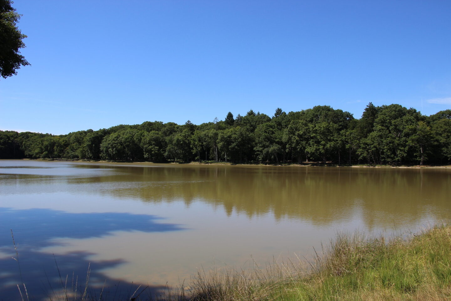 Etang Neuf Karpfenangeln in Frankreich