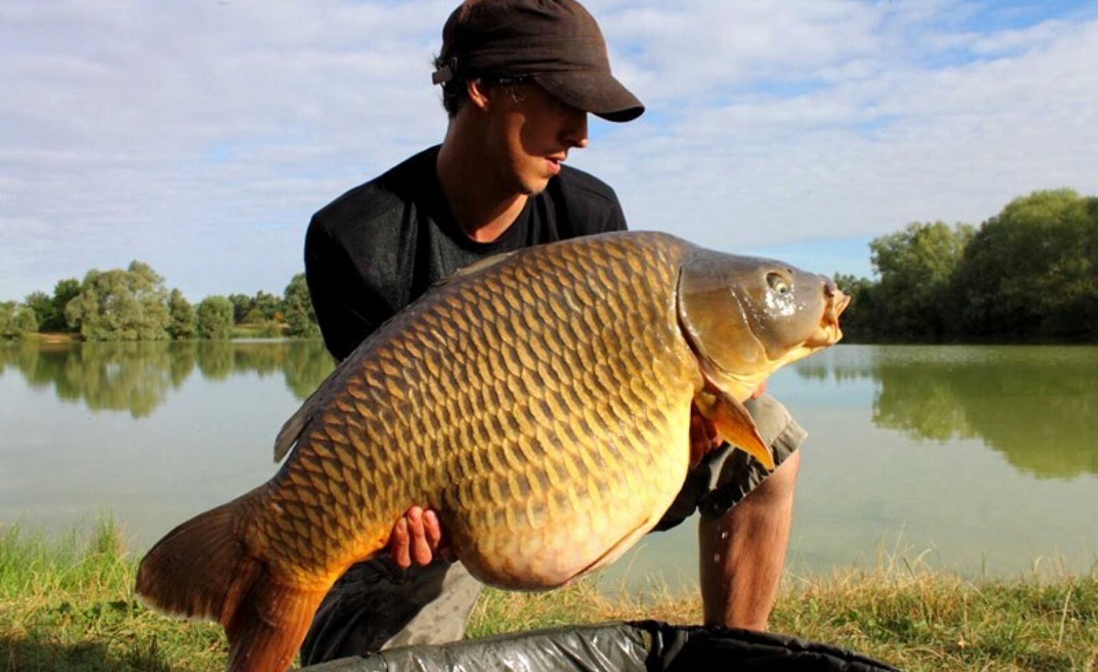51dave 800x533