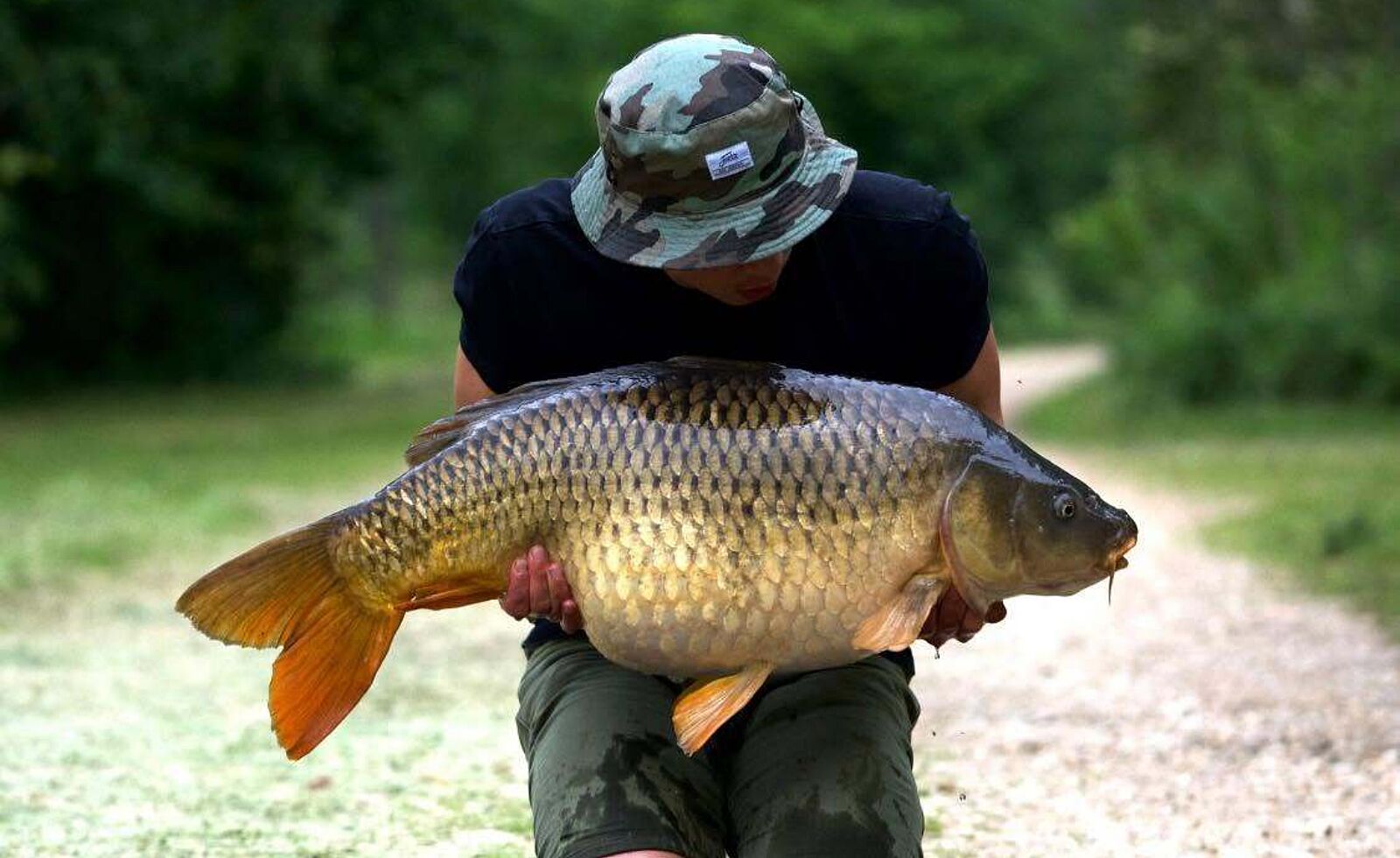 Lac de Roger 3181915 n