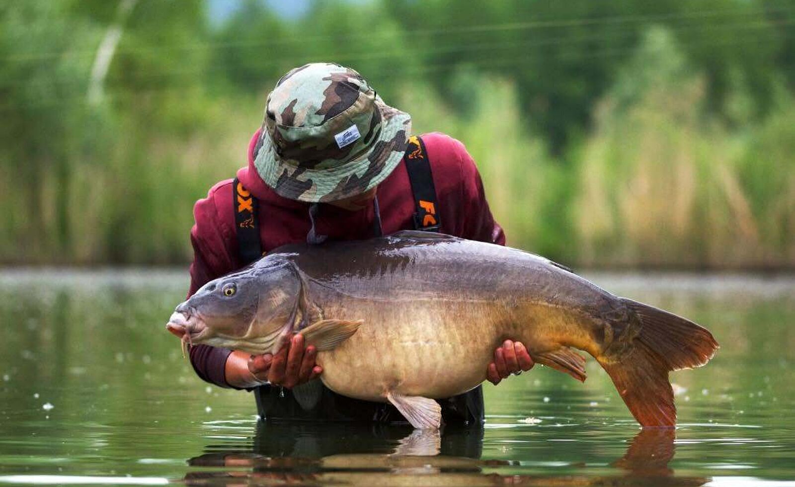 Lac de Roger 703274 n