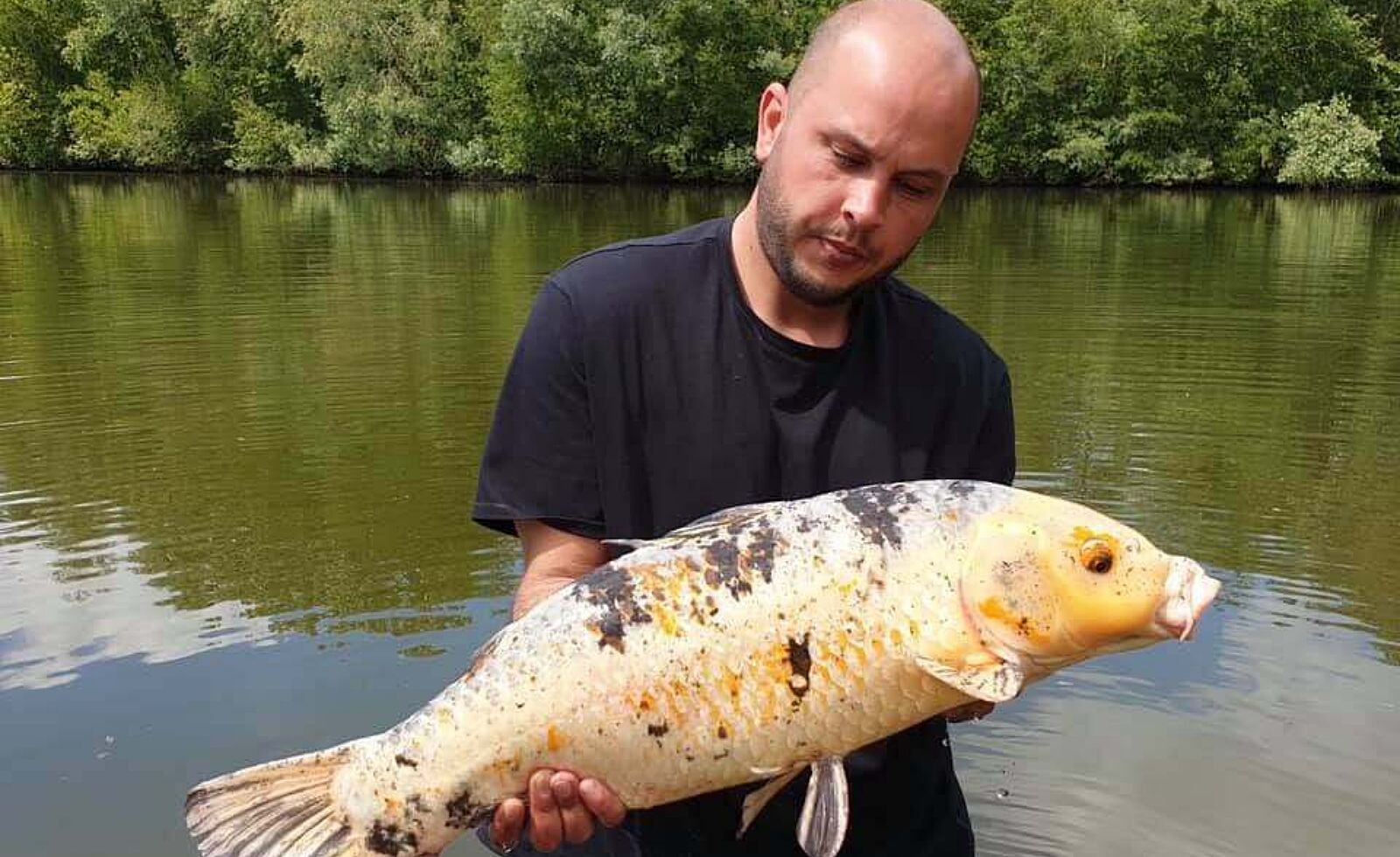 Lac de Roger 9556736 n
