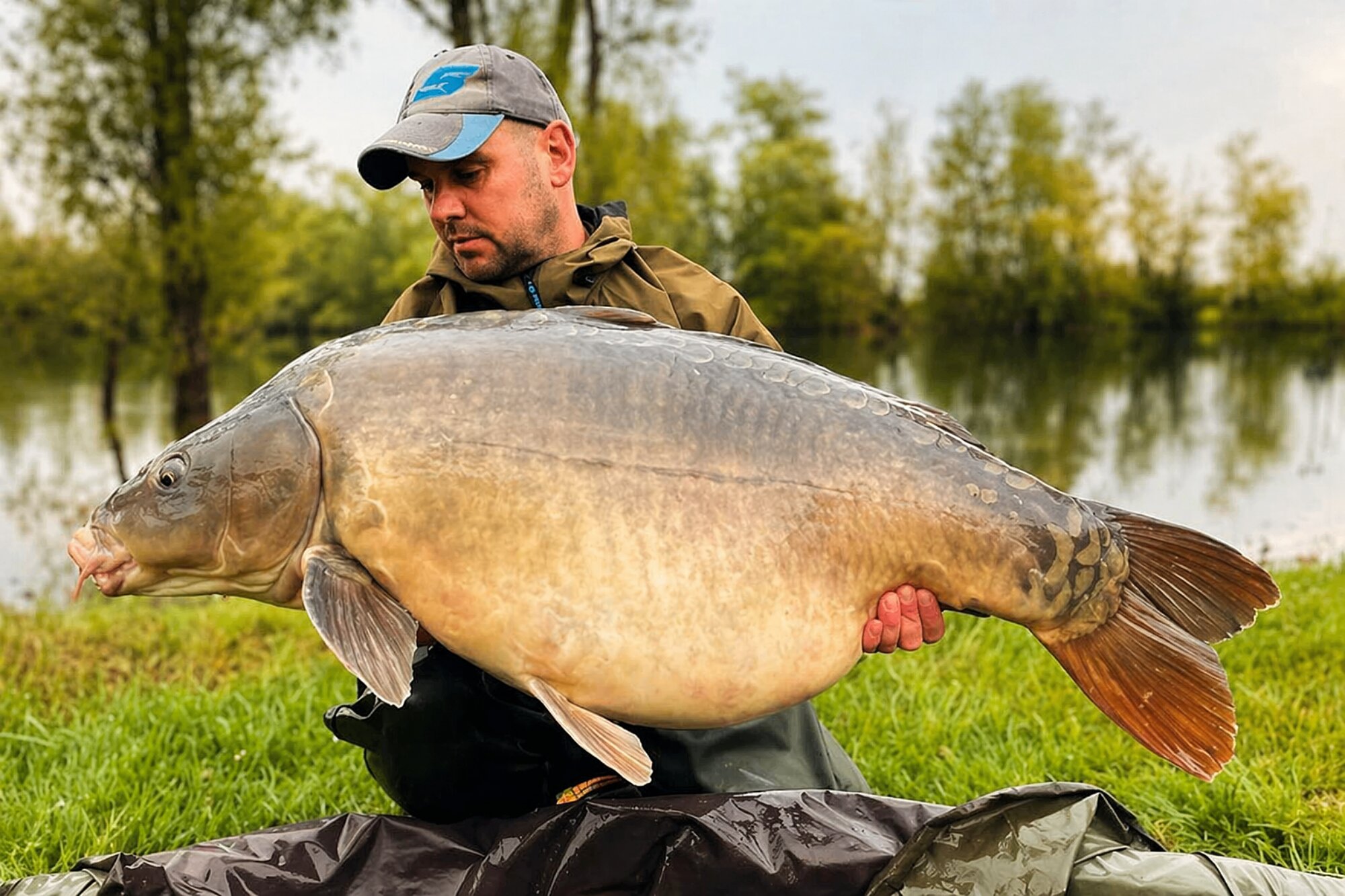 Robin Lake mirror carp