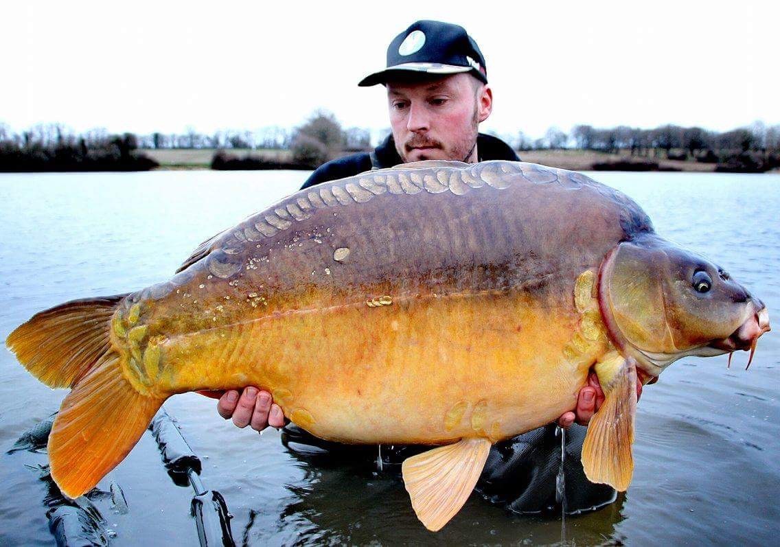 Guillaume with a nice Villedon mirror