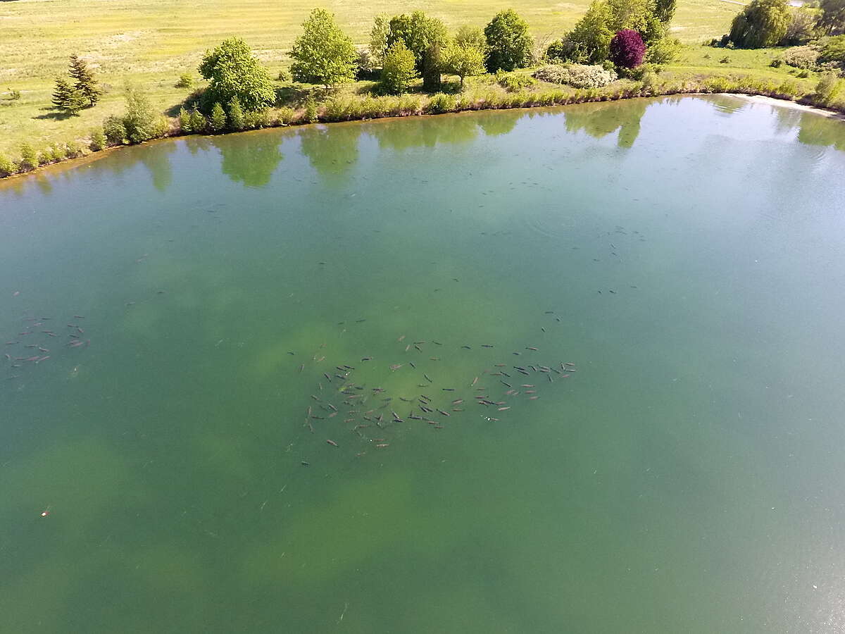 Photos drone ETANG 5 16