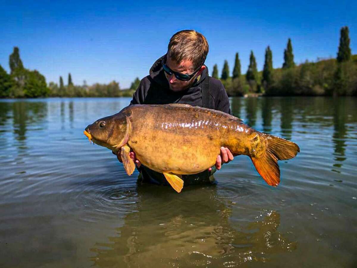 Book your carp fishing holidays with peace of mind