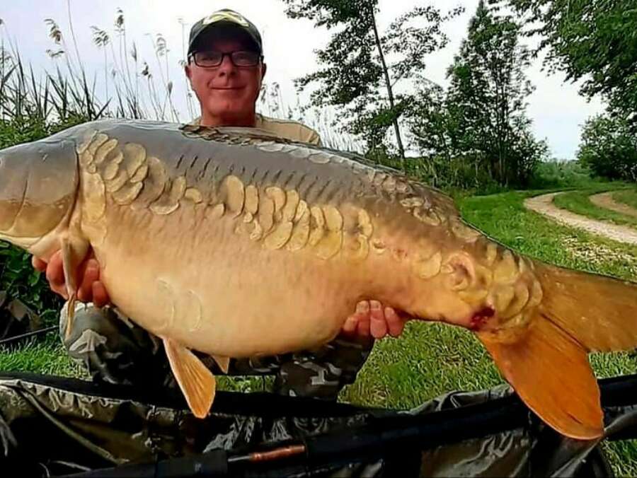 196586144 3575855479182714 283610359204060586 n