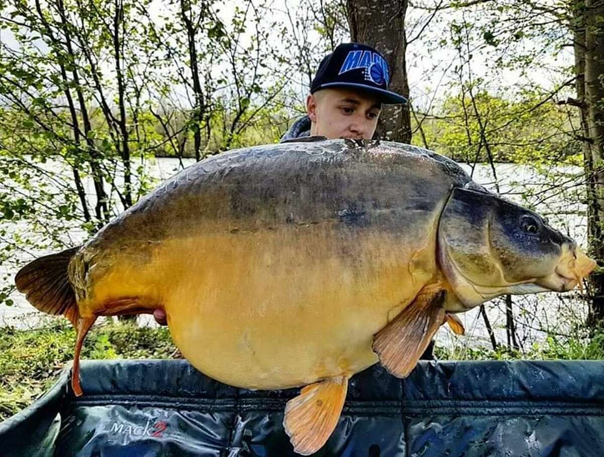 Etang Carpanium pêche carpe Paris