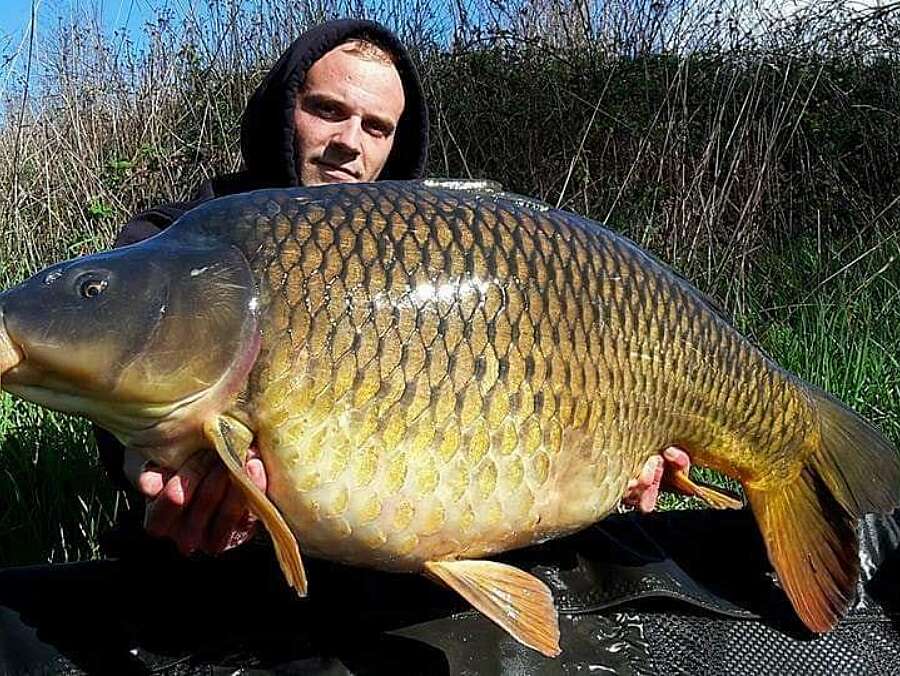 Etang Carpanium carpe