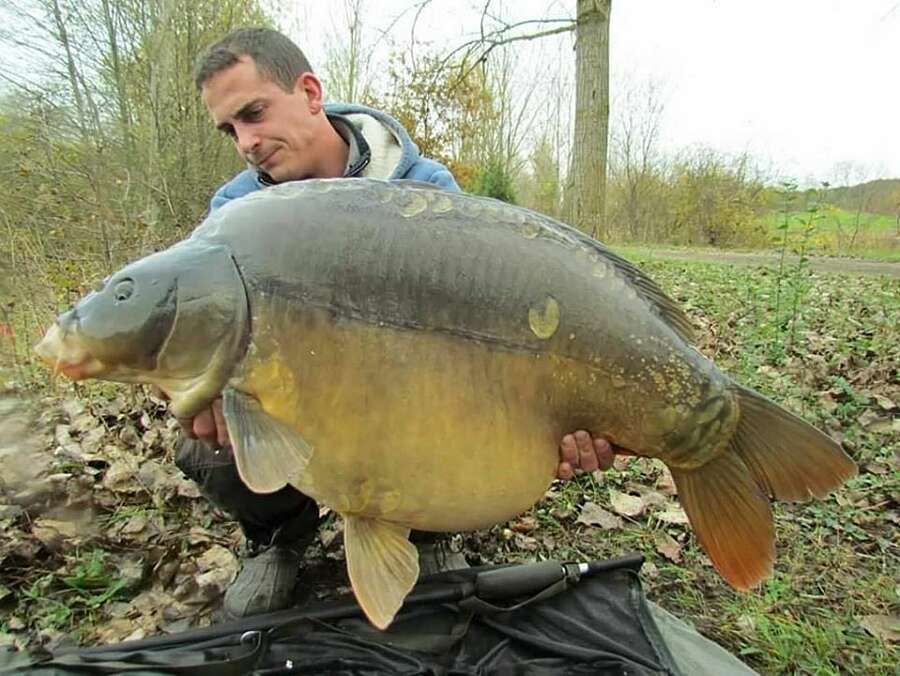 Etang Carpanium dikke karper frankrijk