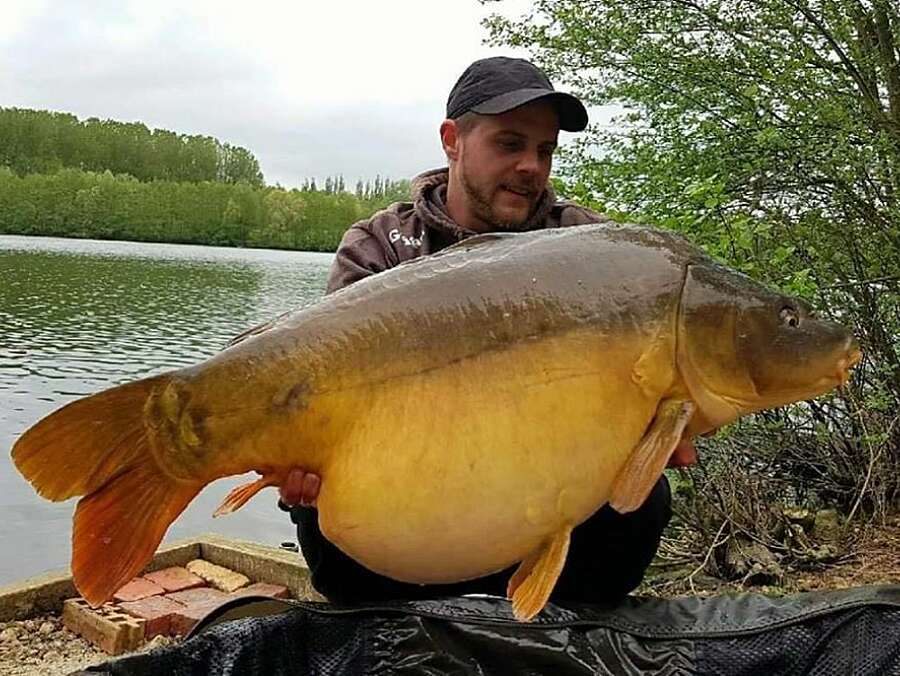 Etang Carpanium karpervissen bij parijs