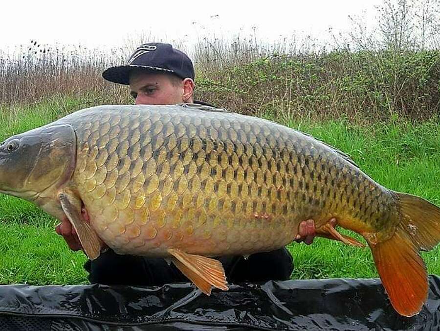 Etang Carpanium pecher carpe