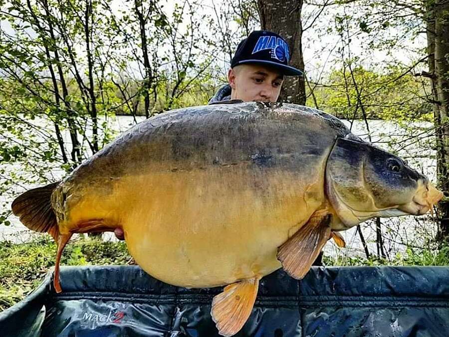 Etang Carpanium pêche carpe Paris