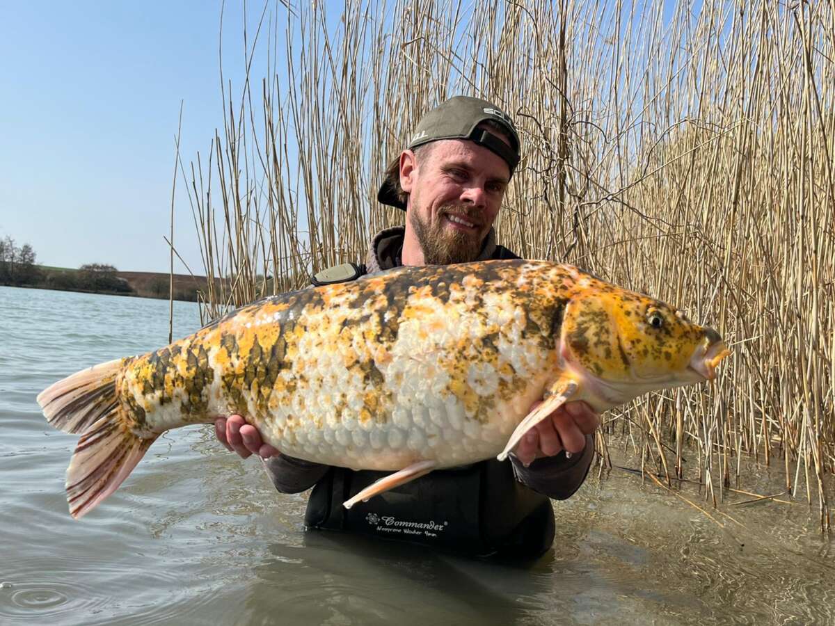 Etang Moulin Sjors