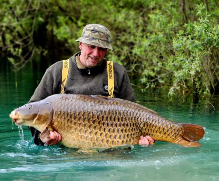 36 4kg evaro carp