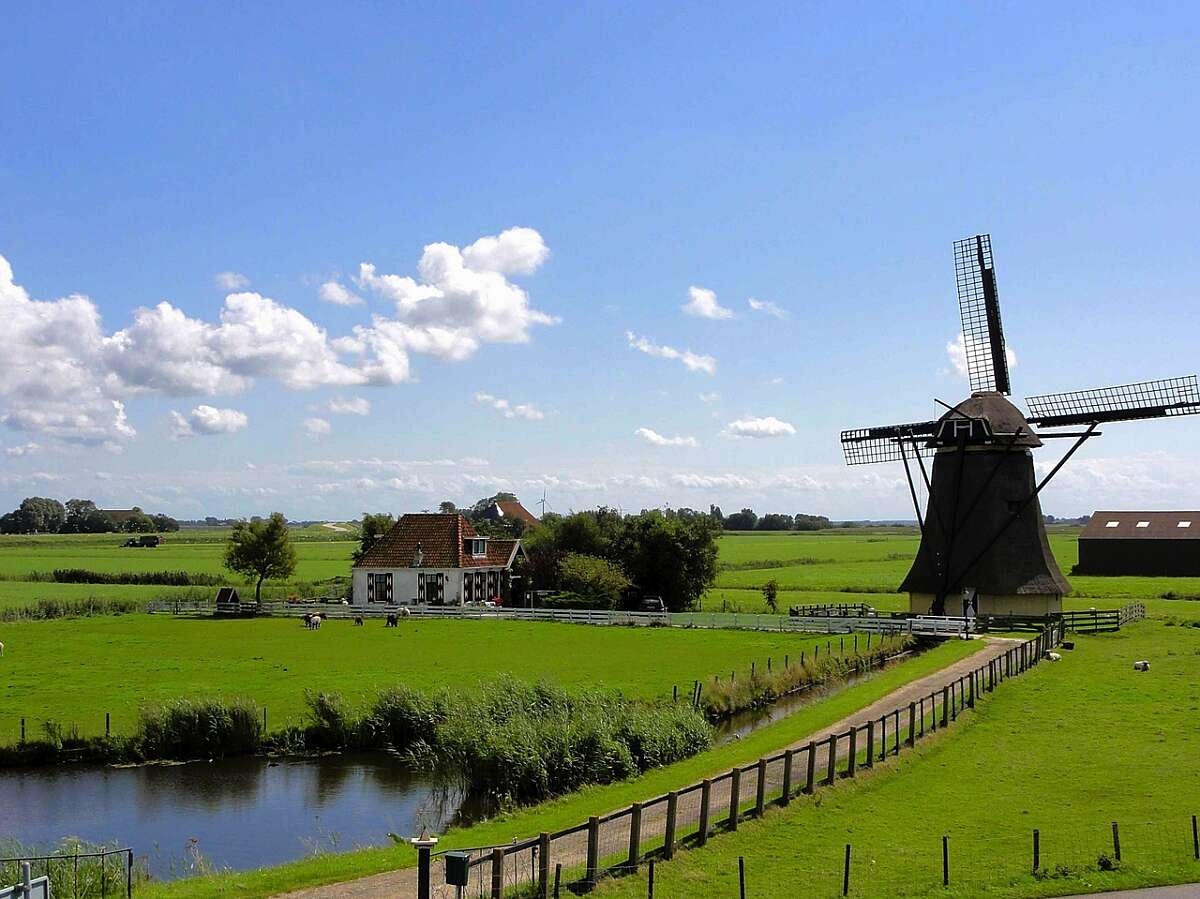 Karpervissen in Nederland