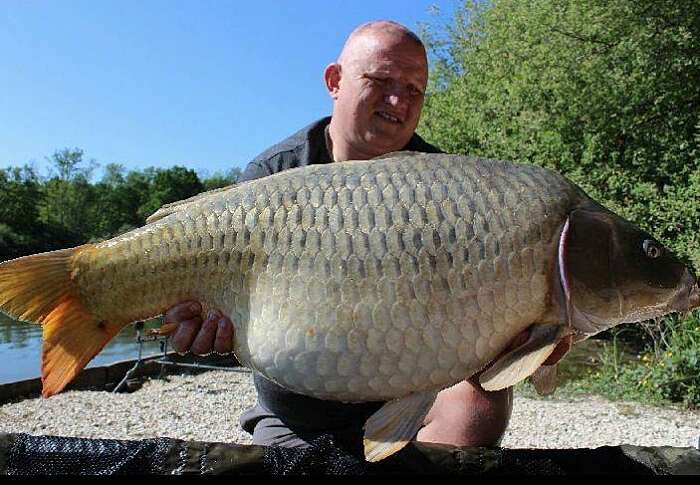 Domaine20de20 Brocard 5b2b8cd1