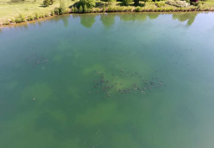 Dacda80c 109e 4e56 b250 55e3787d13f3