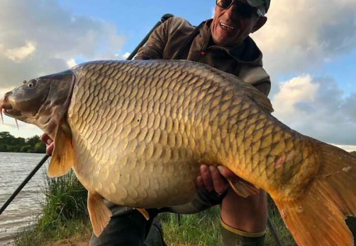 31143904 1907785052596831 7419234611437240320 n 5bc9a93a