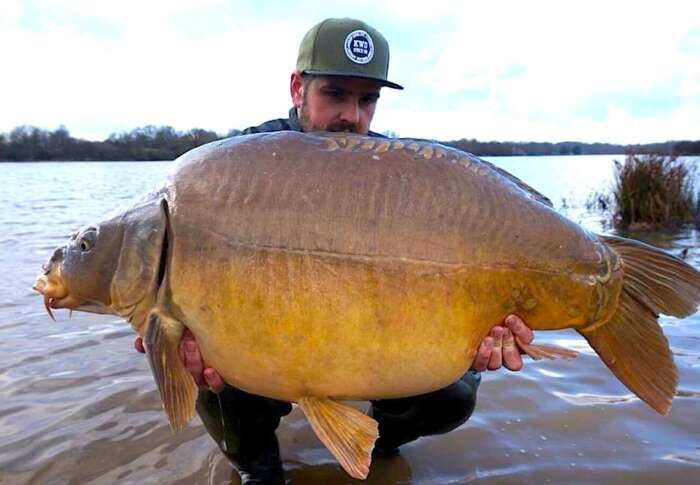 A91e5f1f f399 4050 a542 406666f35b4b