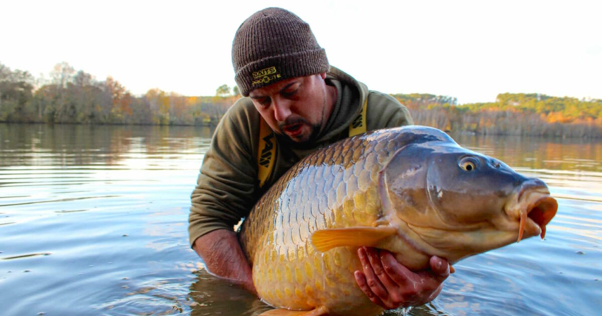 Subtiele karper rigs voor de winterperiode!