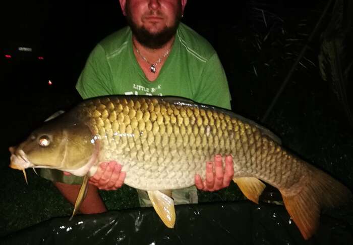 97c804b0 fbee 4549 a260 aae26495fccb