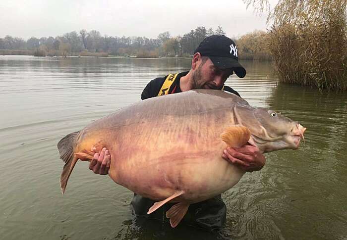 Biggest Carp in the World 112 64lb 51 20kg