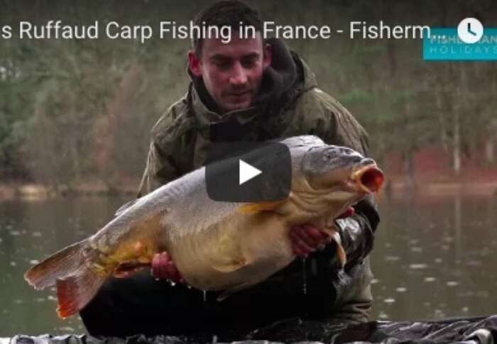 1a638b0a 30fe 4e98 abd9 ab4d05f1dd44