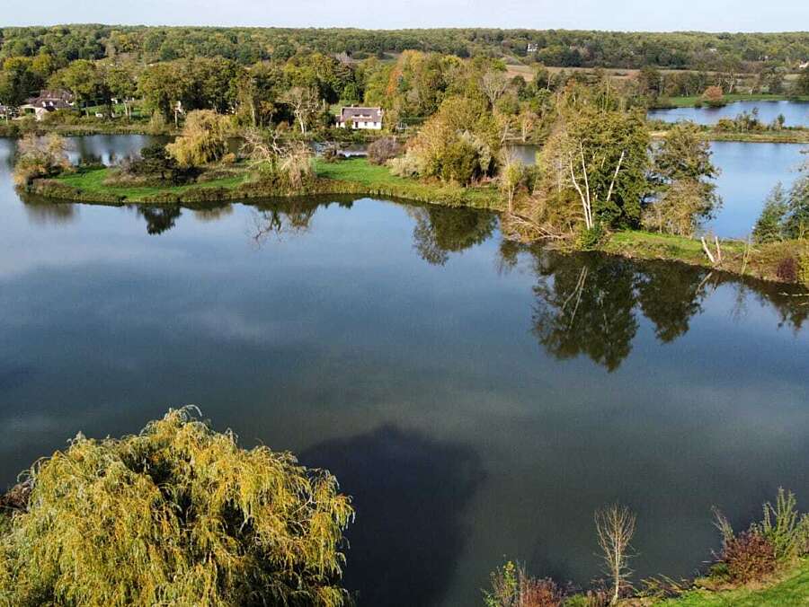 Odyssea carp france lake