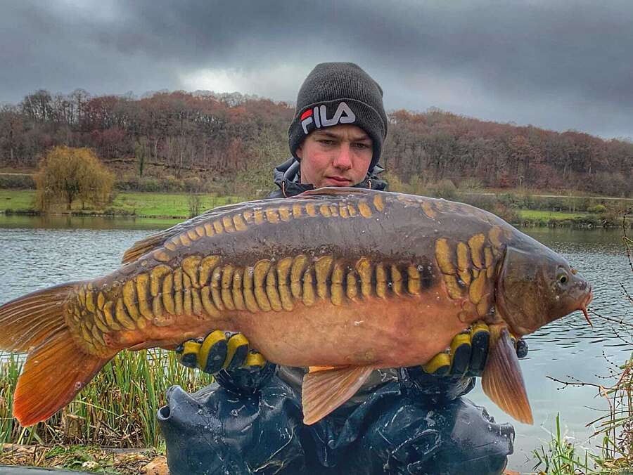 Odyssea carp france pic