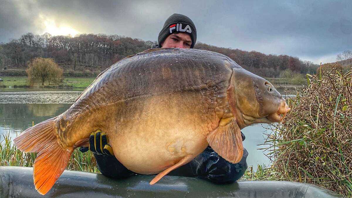 Odyssea carp france big carp 0977