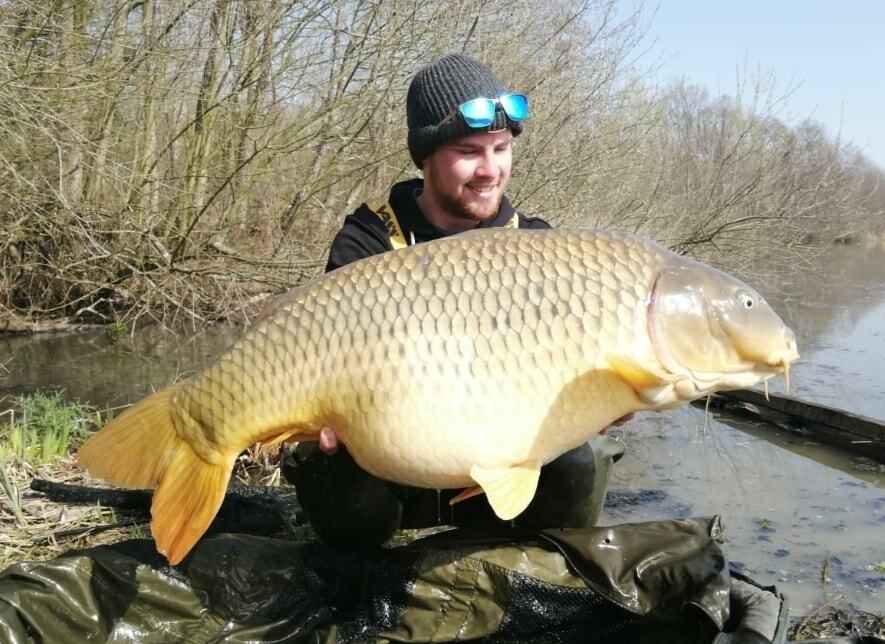 Brocard20 Lovely2053 2lbs20common20from20peg1220last20week20 5e7b49fb