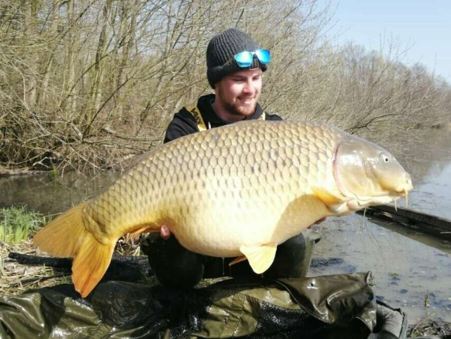 Brocard20 Lovely2053 2lbs20common20from20peg1220last20week20 5e7b49fb