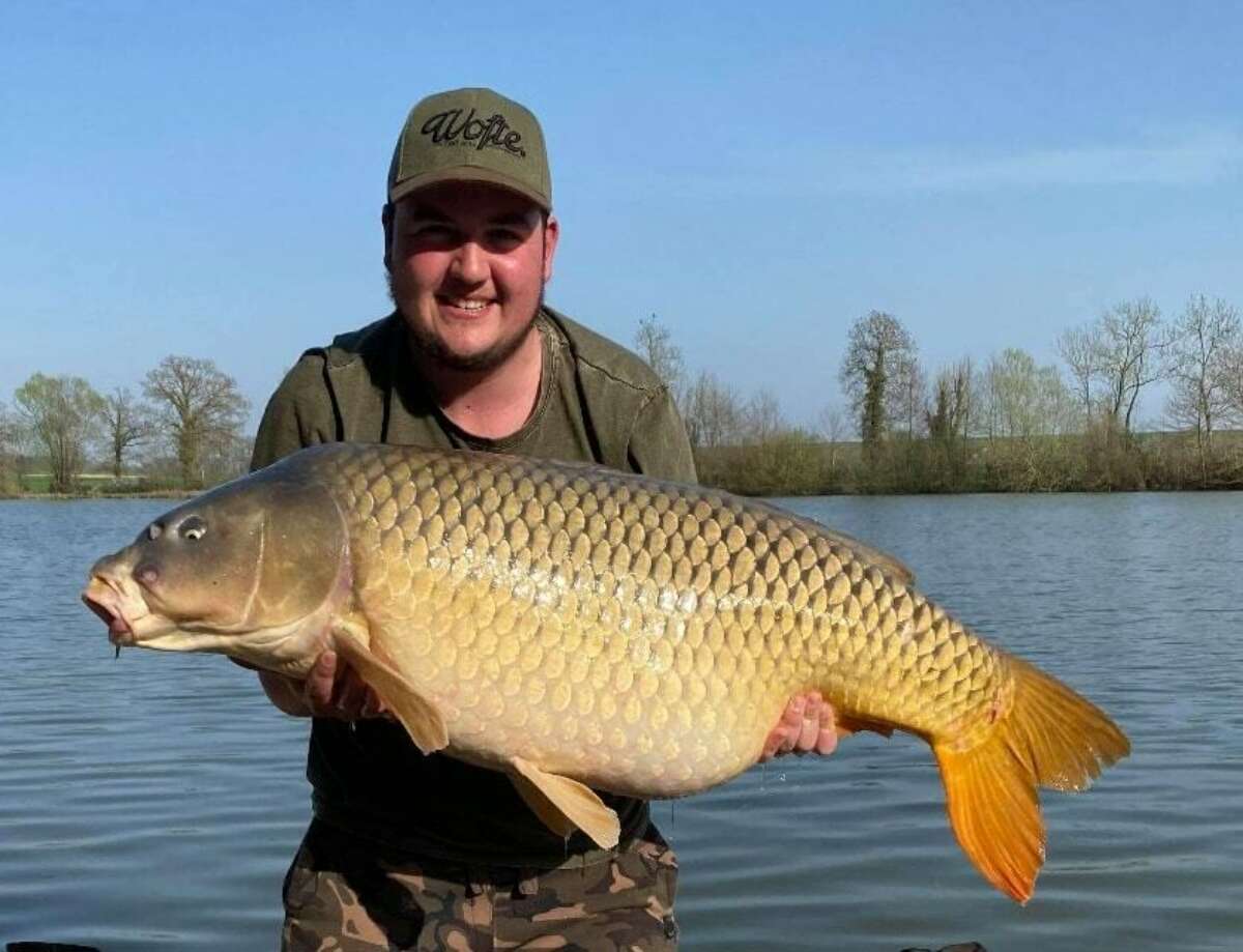 Jonchery20march20202020 Perfect2064lbs20common20from20peg20520last20week 5e7d09b2